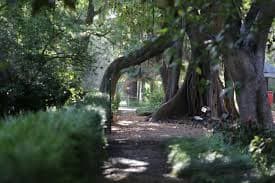 Historic Tram 28 in Lisbon