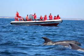 Sado Estuary with Arrábida cliffs in background