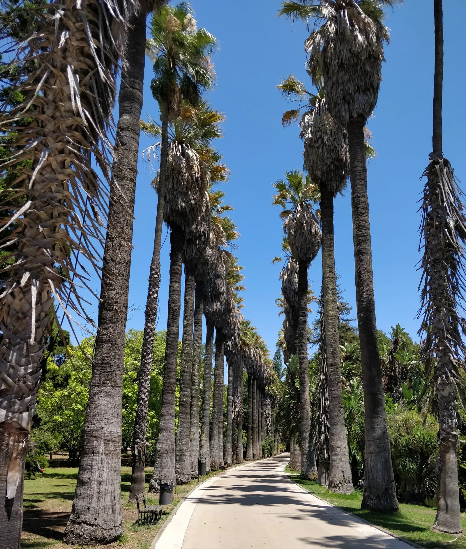Lisbon Botanical Garden (Jardim Botânico de Lisboa)