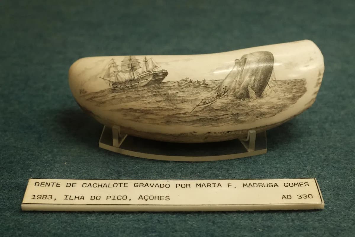 Museu de Marinha (Maritime Museum)