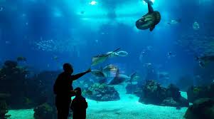 Entrance to Oceanário de Lisboa